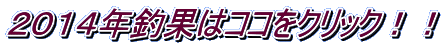 ２０１４年釣果はココをクリック！！