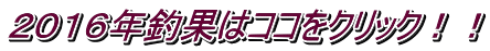 ２０１６年釣果はココをクリック！！